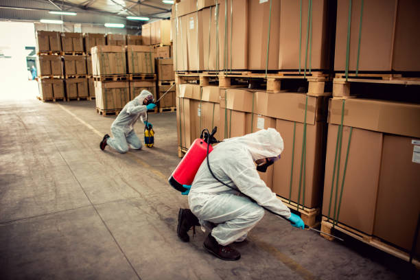 Best Wasp Removal Services  in Brandon, SD
