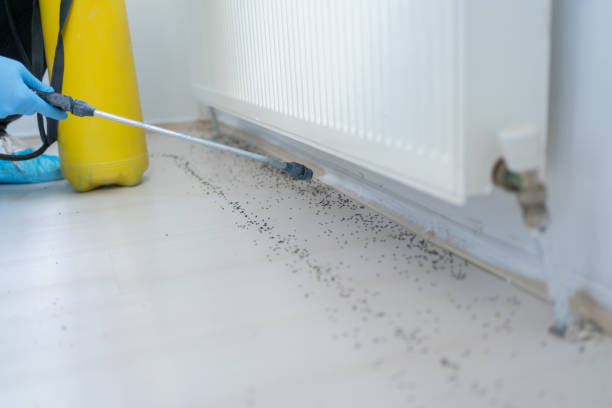 Best Best Pest Control Companies  in Brandon, SD