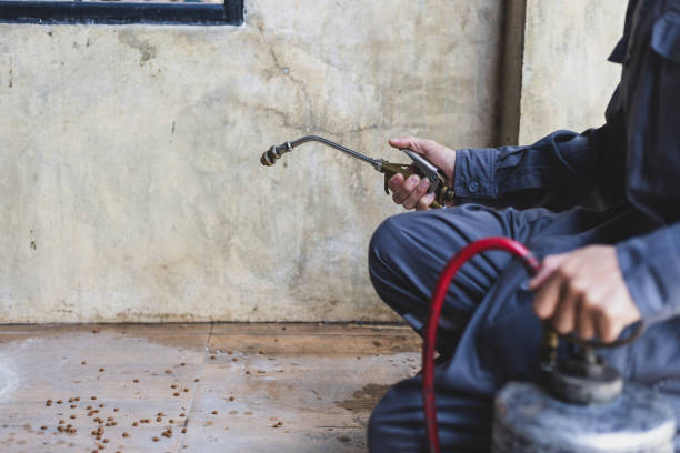 Best Emergency Pest Control  in Brandon, SD